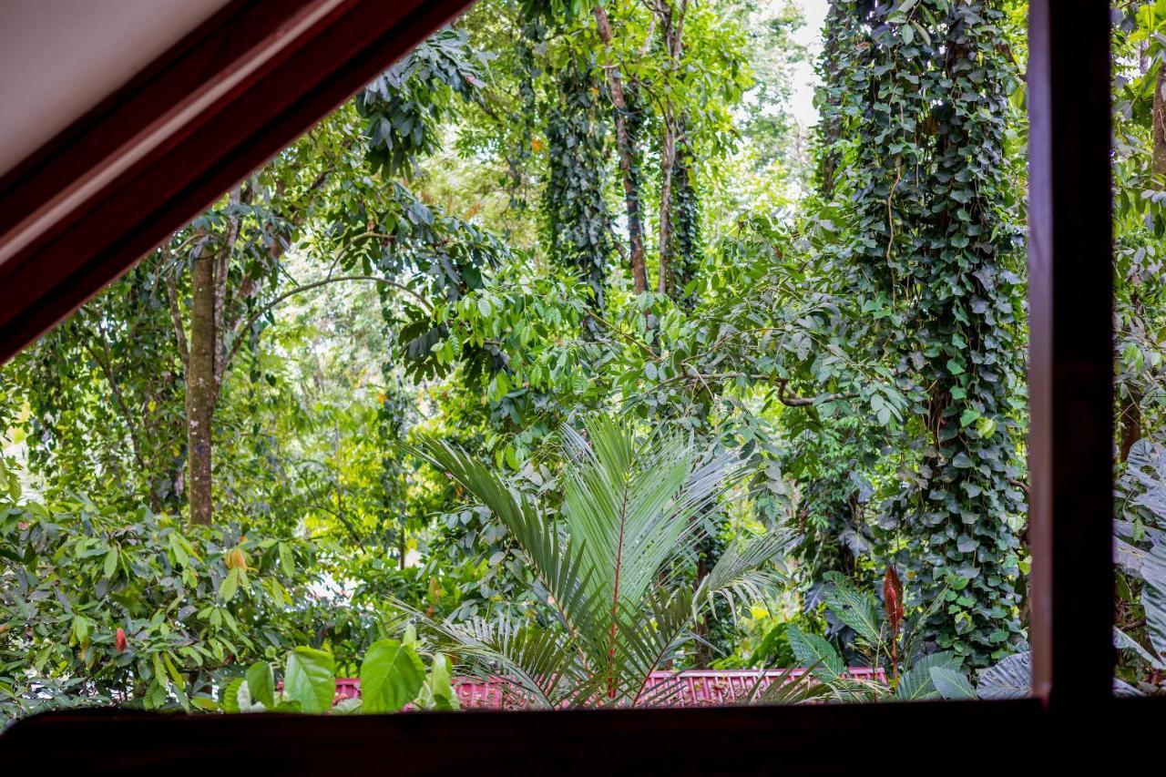 Puerto Viejo de Talamanca Namuwoki Lodge מראה חיצוני תמונה